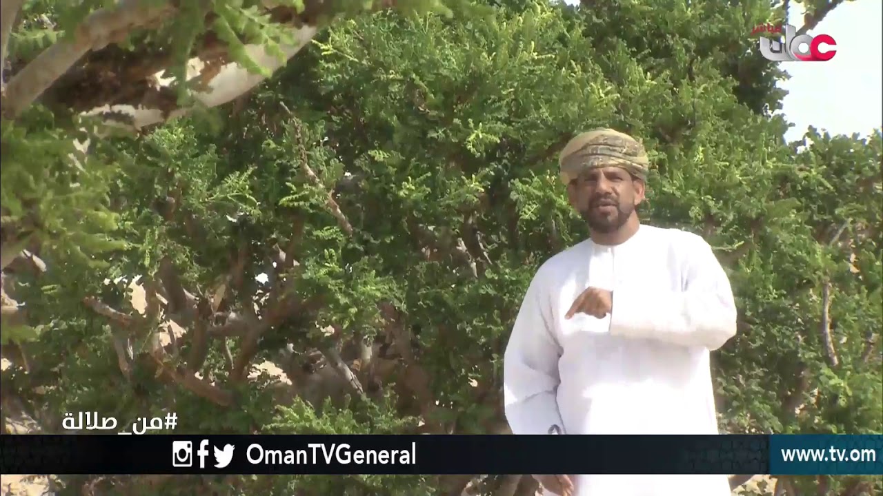 كان في زمان الماضي | هوبيل هوبيل | #من صلالة | الخميس 2 أغسطس  2018 م