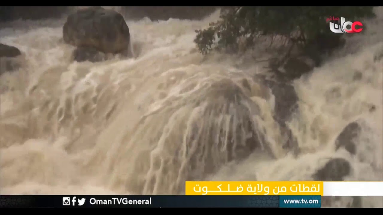 لقطات من ولاية #ضلكوت | #قهوة_الصباح