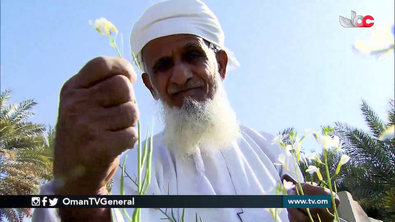 #مداد | الإثنين 28 رمضان 1440 هـ