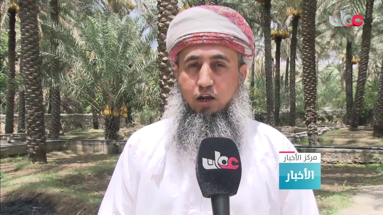 تعرض محافظتي جنوب وشمال الشرقية لانتشار  الجراد الصحراوي