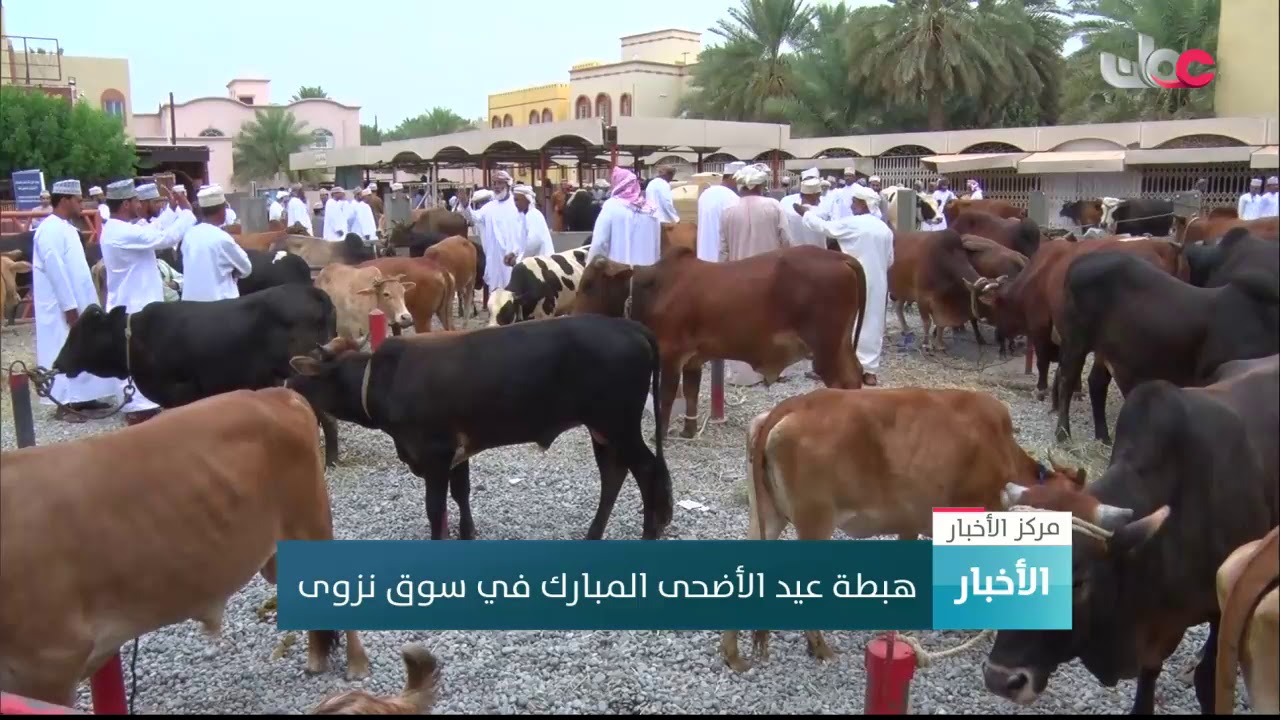 هبطة عيد الأضحى المبارك في سوق نزوى