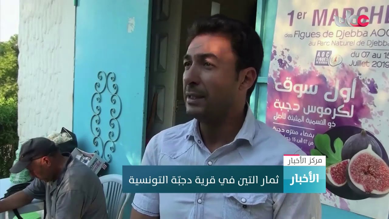ثمار التين في قرية دجبّة التونسية