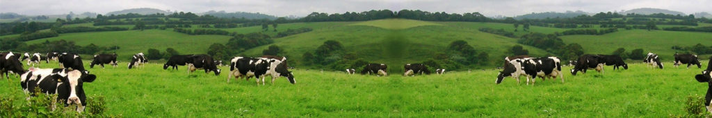 مزون للألبان تعلن عن وظيفة شاغرة