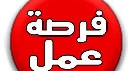 cropped 9FBEA625 D73E 4662 B35F C351A0CC19A3 1 1