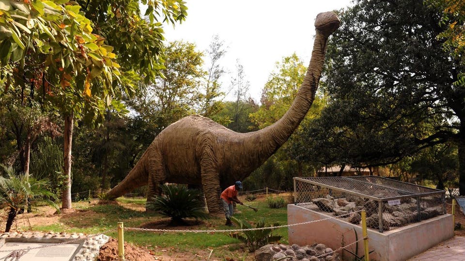 اكتشاف جديد وراء تغير المناخ وانقراض الحيوانات