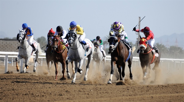 انطلاق السباق الاول لنادي سباق الخيل السلطاني بميدان الرحبة بولاية بركاء