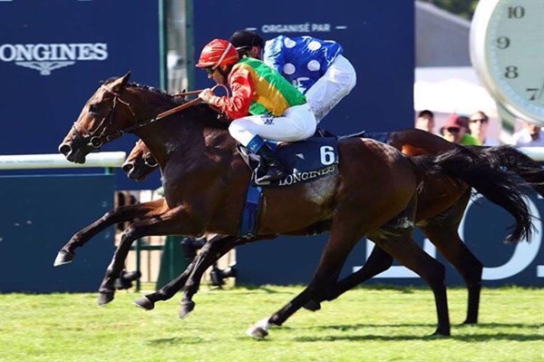 الفرس”رجاء” للخيالة  السلطانية تحقق المركز الثالث في فرنسا