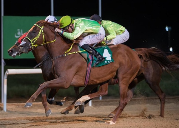 الحصان /فارتيز عبي/ للحشار يحل وصيفًا بمضمار العين