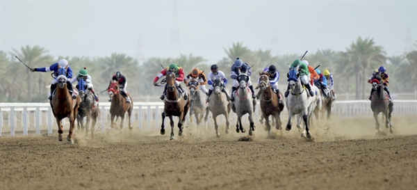 السبت.. سباق كأس العيد الوطني /49/ المجيد على مضمار الرحبة