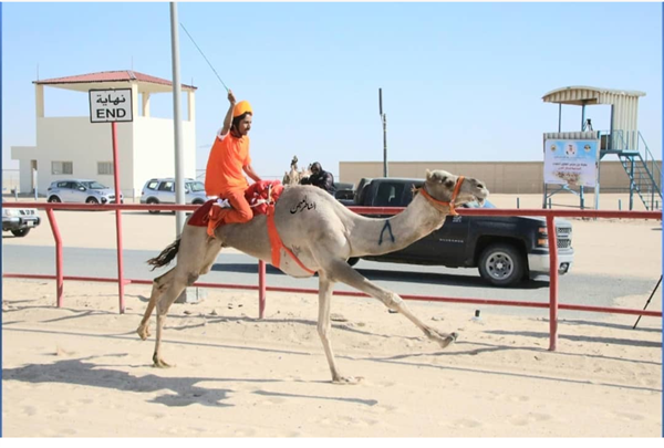 هجن السلطنة تخطف كأسي الركاب البشري في بطولة مجلس التعاون بالكويت
