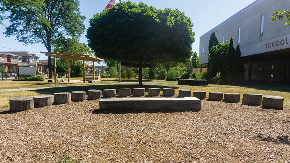 تعرف على.. المدارس المُستدامة الصديقة للبيئة