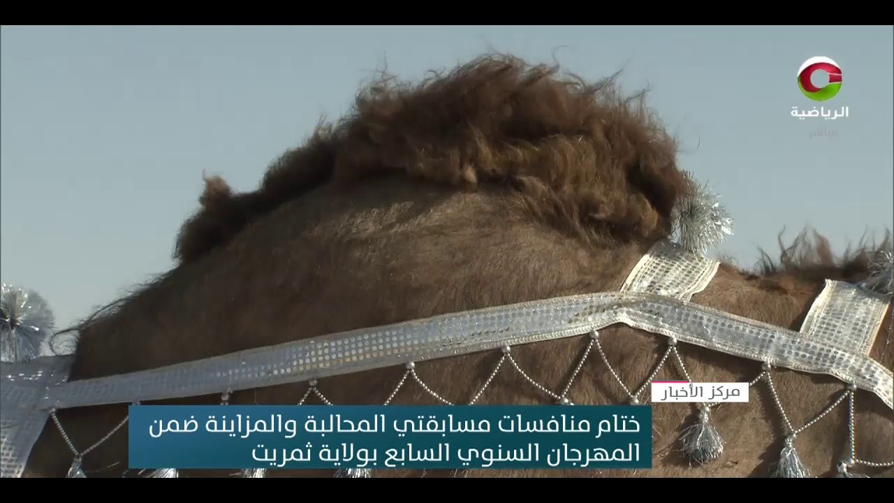 ختام منافسات مسابقتي المحالبة والمزاينة ضمن المهرجان السنوي السابع بولاية ثمريت