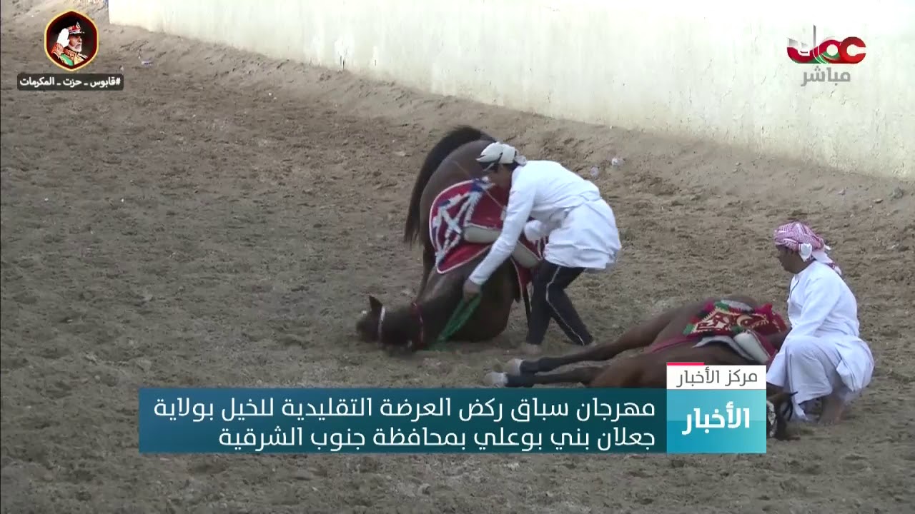 مهرجان سباق ركض العرضة التقليدية للخيل بولاية جعلان بني بوعلي بمحافظة جنوب الشرقية