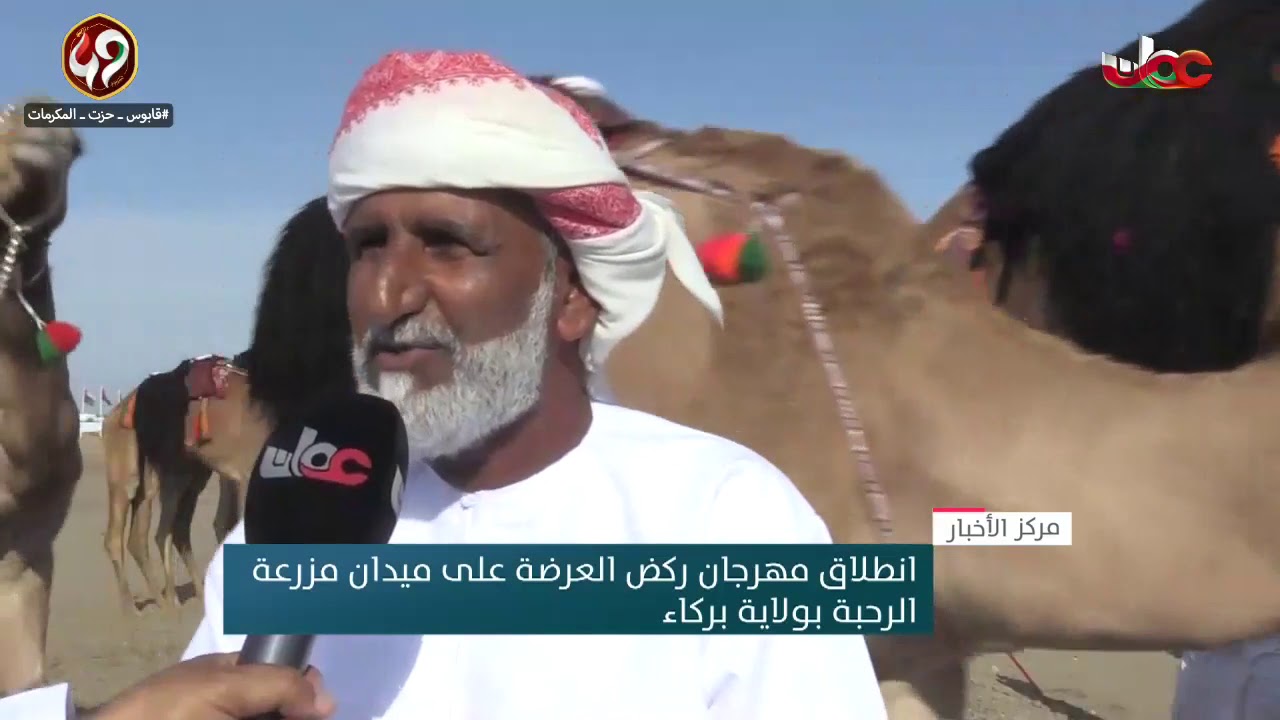 انطلاق مهرجان ركض العرضة على ميدان مزرعة الرحبة بولاية بركاء