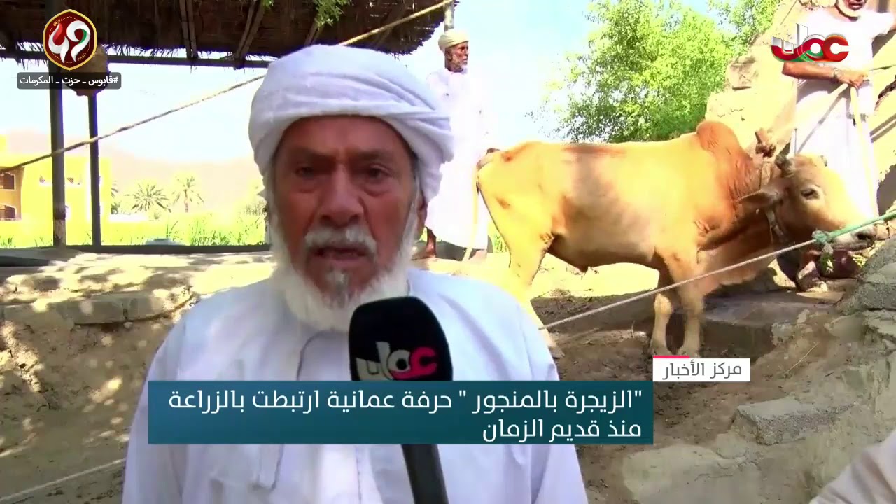 “الزيجرة بالمنجور” حرفة عمانية ارتبطت بالزراعة منذ قديم الزمان