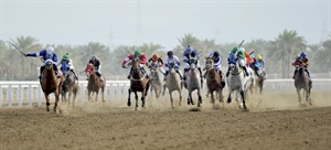 الخميس مضمار الرحبة يشهد سباق الخيل التاسع