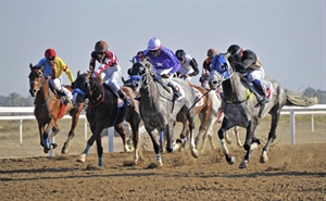 السبت مضمار الرحبة يشهد سباق الخيل السابع