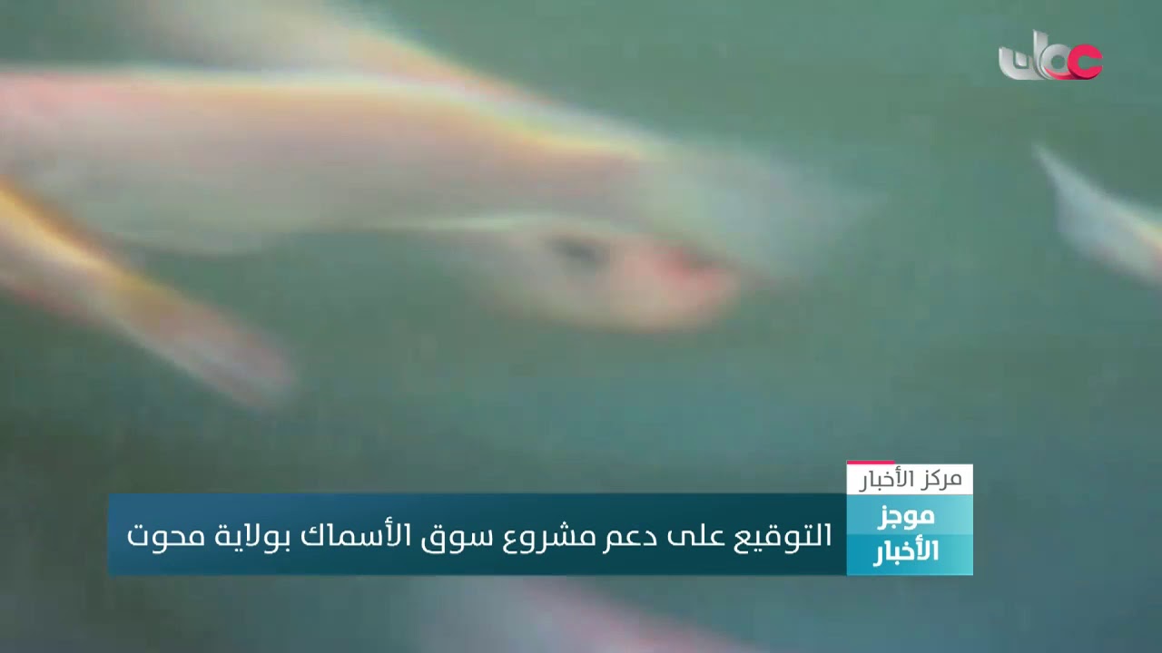 التوقيع على دعم مشروع سوق الأسماك بولاية محوت