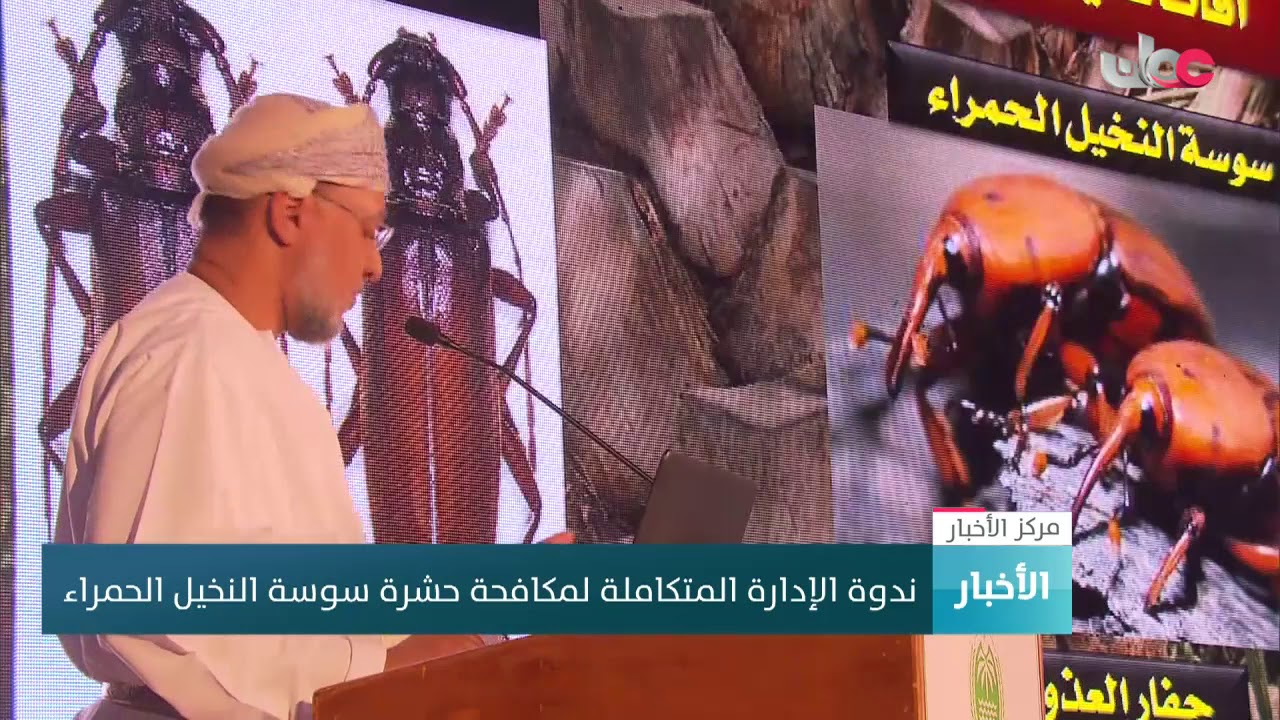 ندوة الإدارة المتكاملة لمكافحة حشرة سوسة النخيل الحمراء
