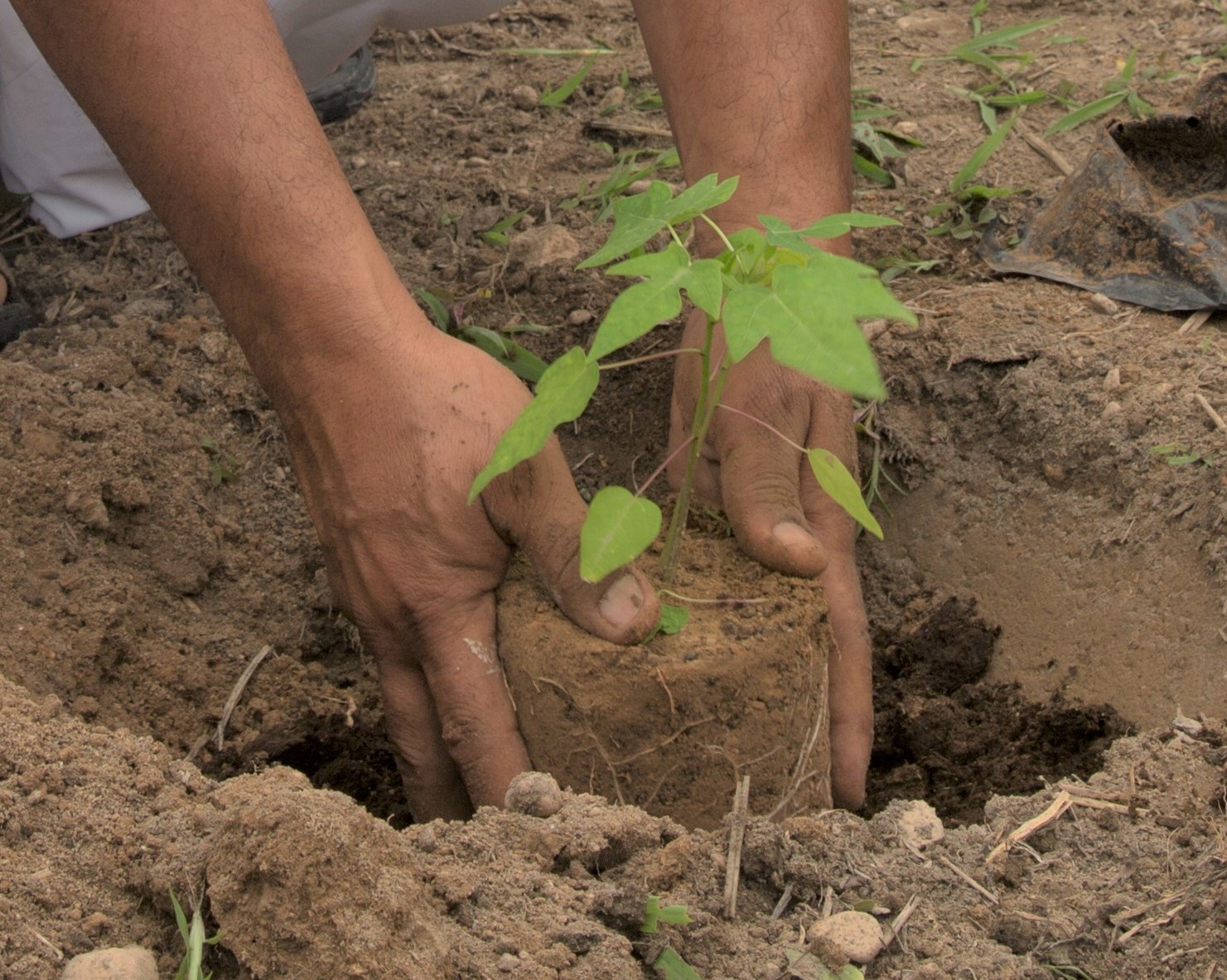 السلطنة تحتفل مع دول العالم باليوم العالمي للتربة