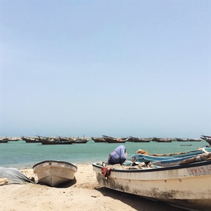 إمكانيات الأشخرة السياحية تجتذب الزوار على مدار العام