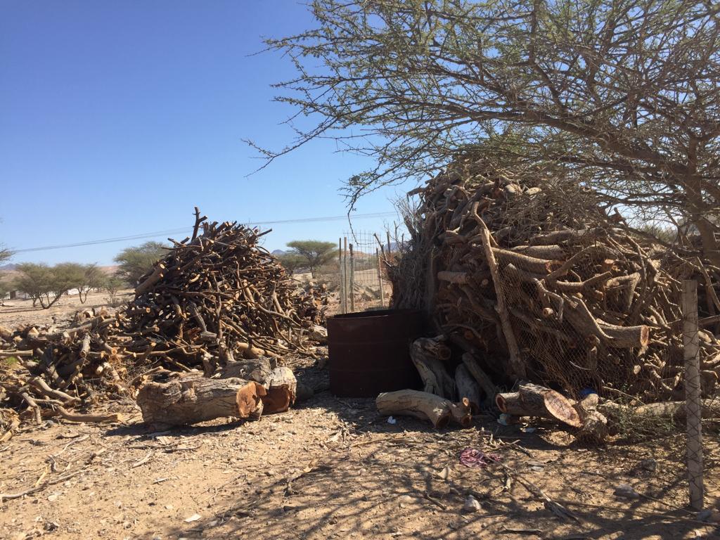 ضبط مواطن يقوم بعملية احتطاب وبيع الحطب بدون الحصول على تصريح