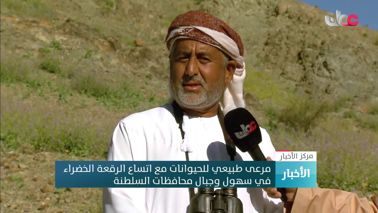 مرعى طبيعي للحيوانات مع اتساع الرقعة الخضراء في سهول وجبال محافظات السلطنة