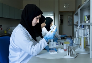 وزارة الزراعة والثروة السمكية تنفيذ مشروع السيطرة على الأمراض الحيوانية