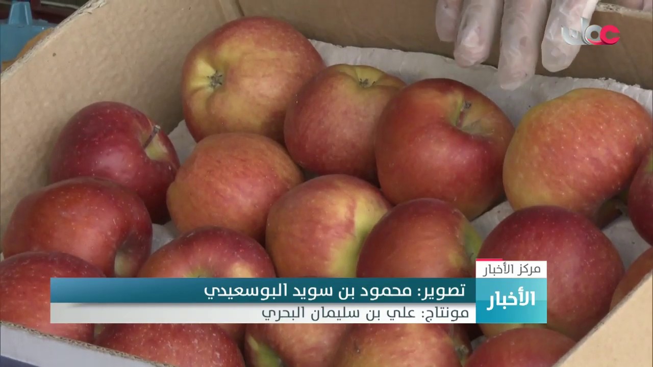 توفر الخضروات والفواكه في السوق المركزي.. وأسعار المنتجات الموسمية تخضع للعرض والطلب