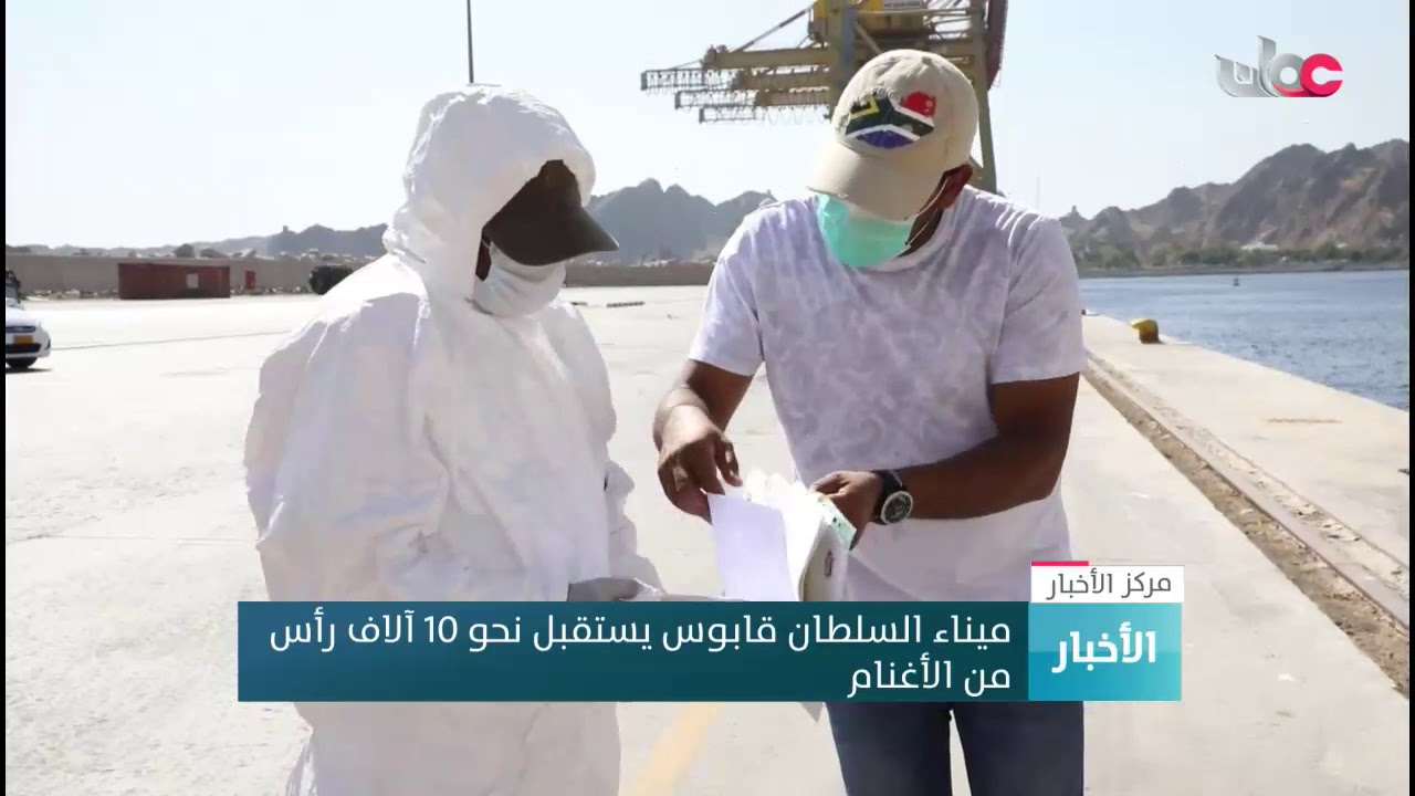 ميناء السلطان قابوس يستقبل نحو 10 آلاف رأس من الأغنام