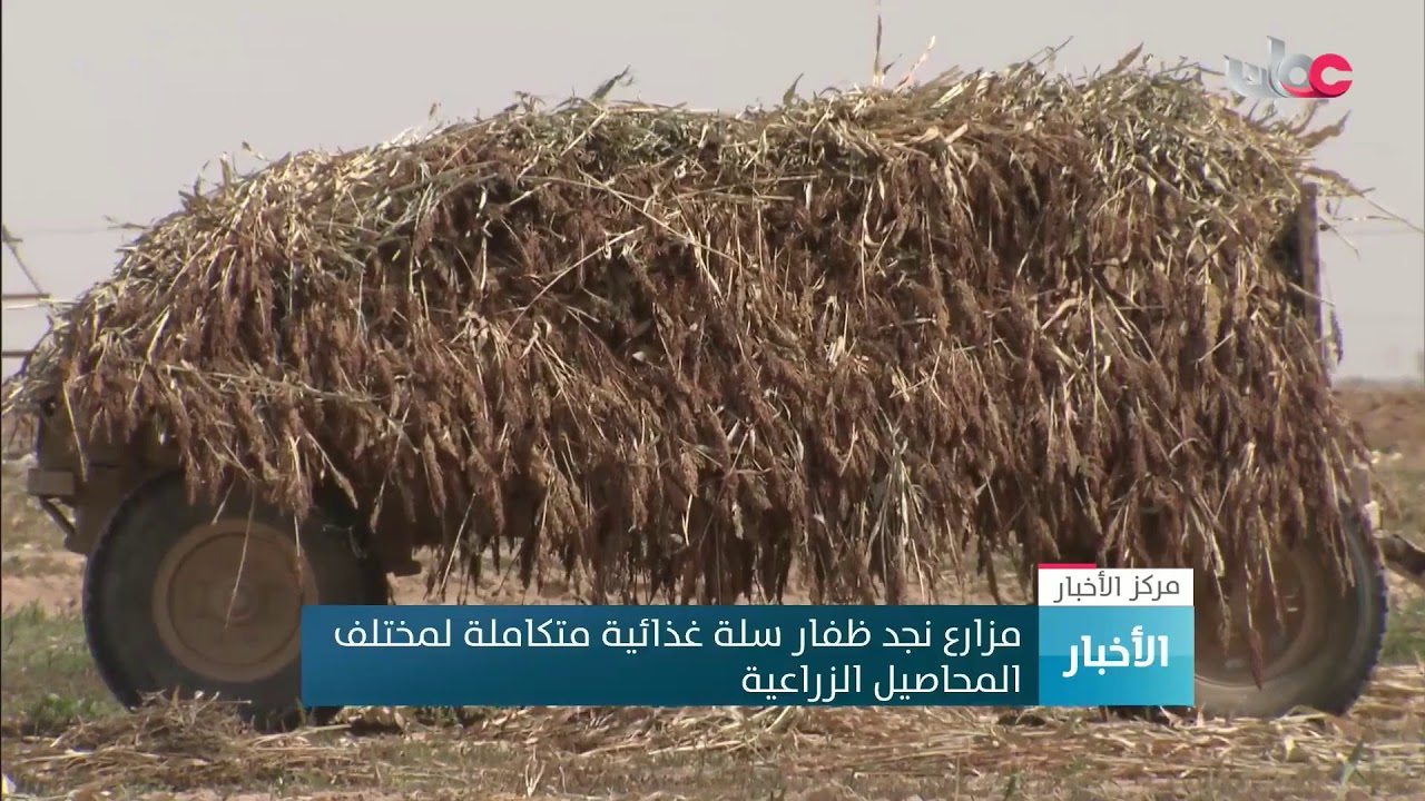 بث مباشر | نشرة أخبار الحادية عشرة صباحا