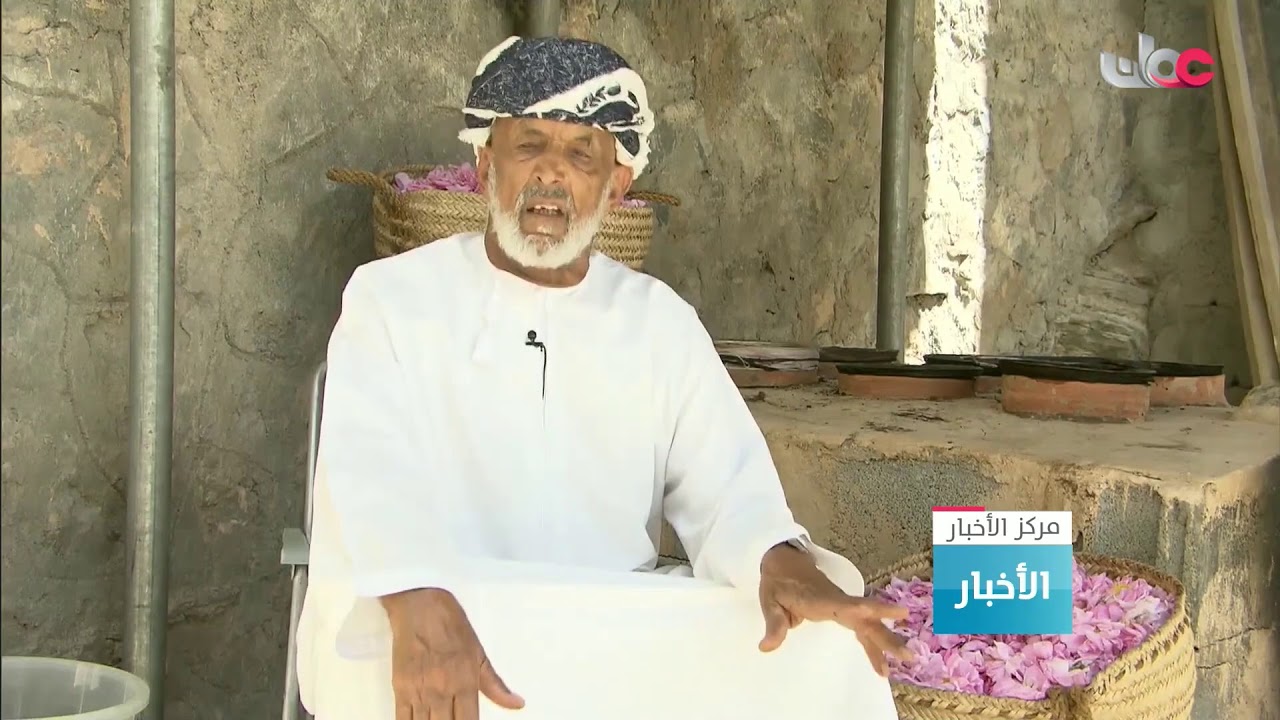 بث مباشر | نشرة أخبار الحادية عشرة صباحا