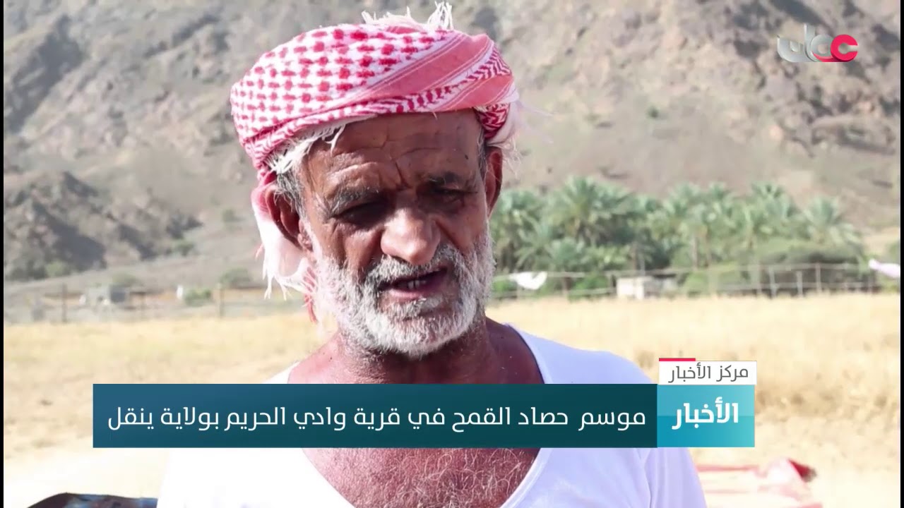 موسم  حصاد القمح في قرية “وادي الحريم ” بولاية #ينقل