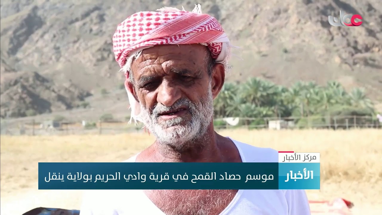 بث مباشر | نشرة أخبار الحادية عشرة صباحا