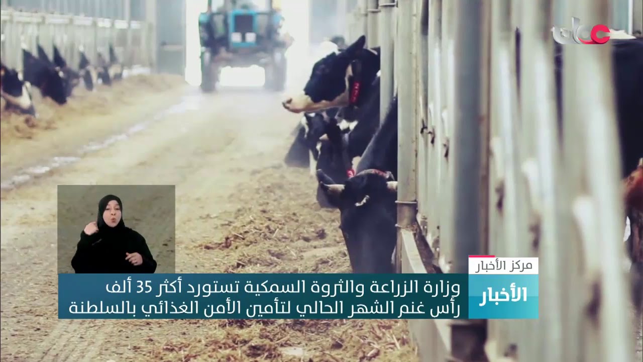 وزارة الزراعة والثروة السمكية تستورد أكثر من 35 ألف رأس غنم الشهر الحالي لتأمين الأمن الغذائي