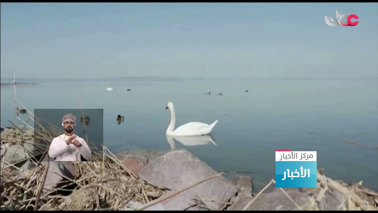 بث مباشر | نشرة #أخبار_العاشرة مساء