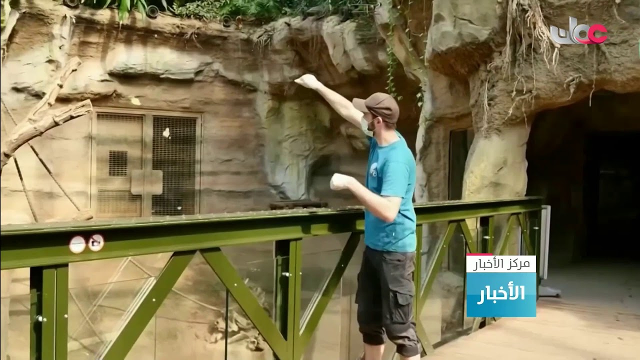 بث مباشر | نشرة #أخبار_الخامسة مساء