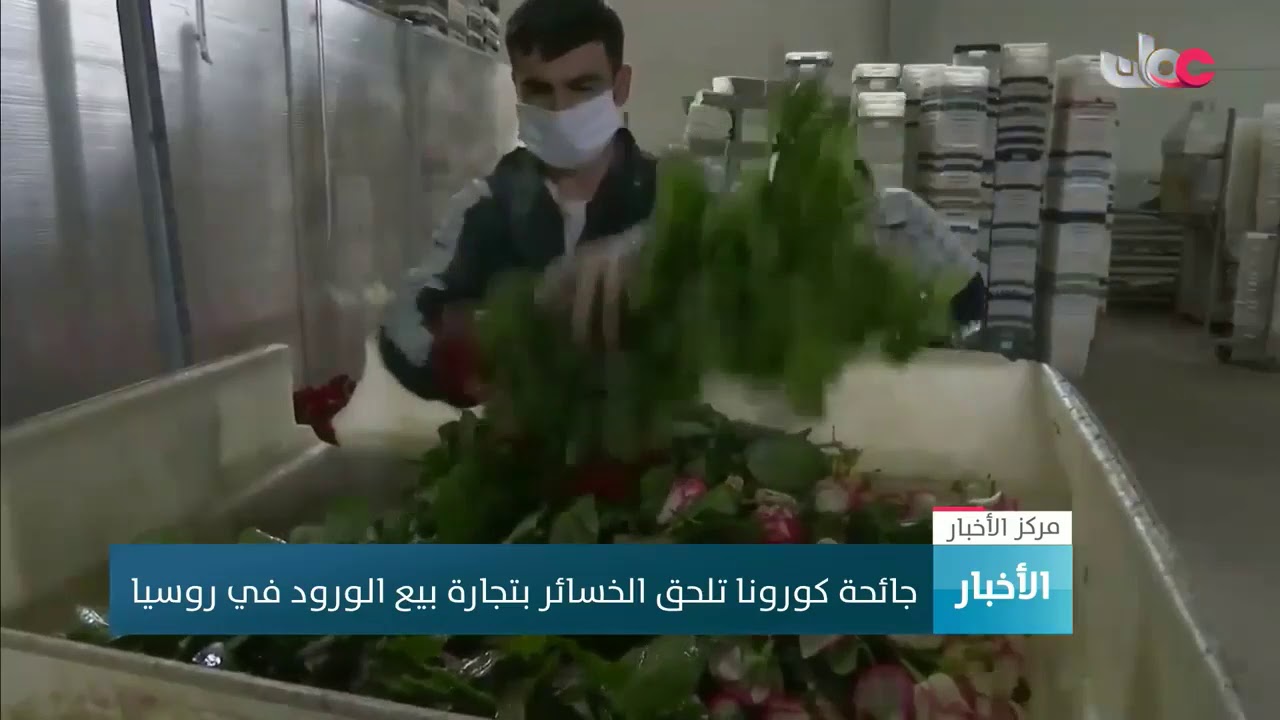 جائحة كورونا تلحق الخسائر بتجارة بيع الورود في روسيا