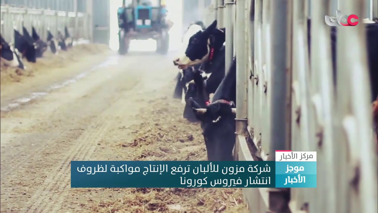 شركة مزون للألبان ترفع الإنتاج مواكبة لظروف انتشار فيروس كورونا