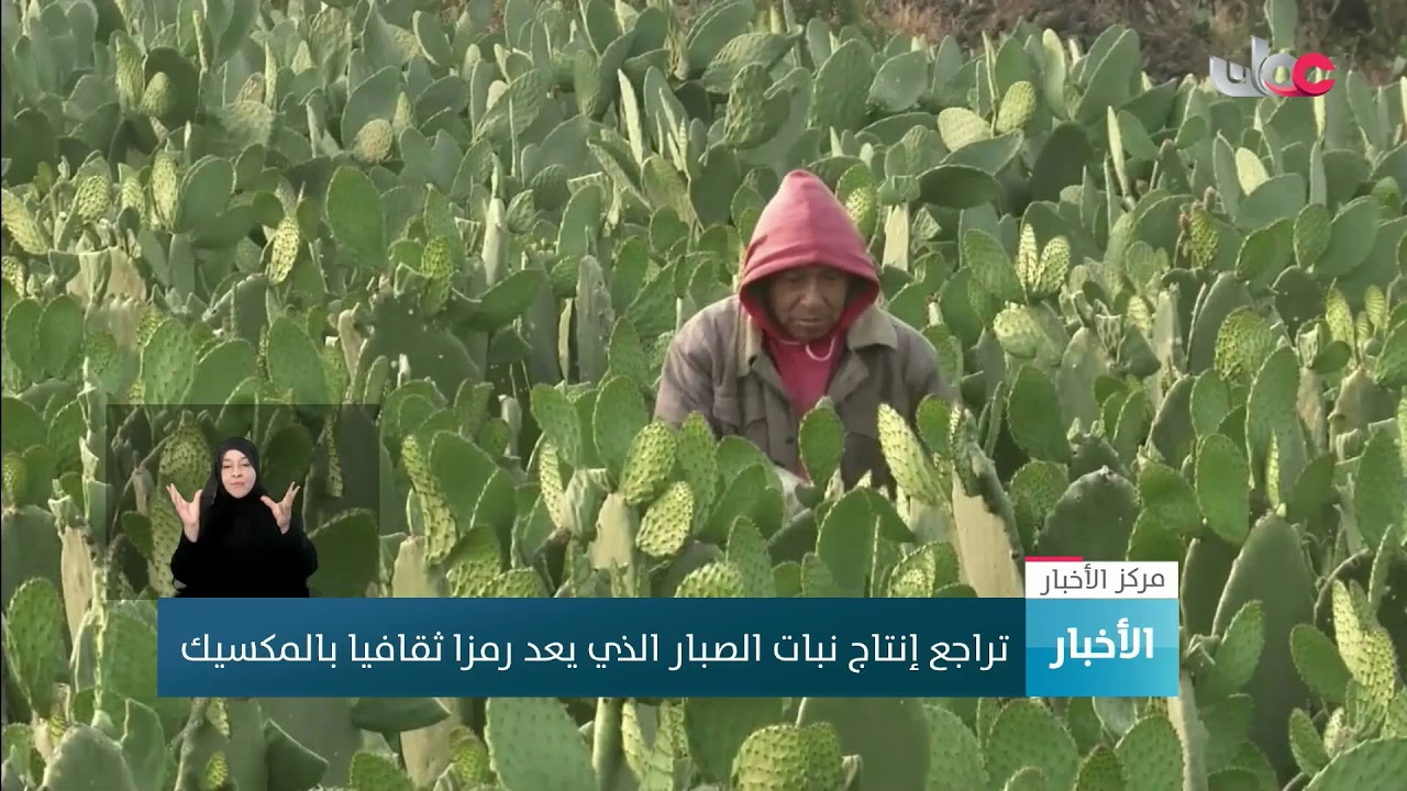 بث مباشر | نشرة #أخبار_الخامسة مساء