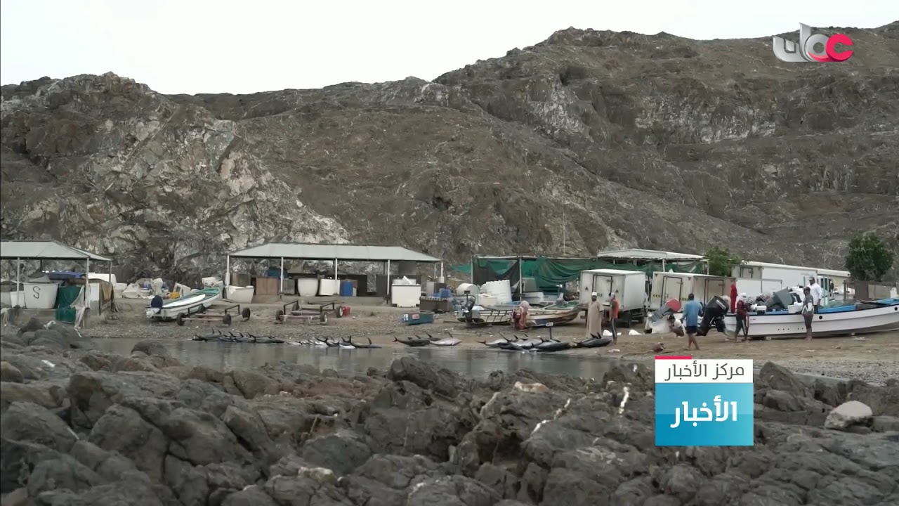 بث مباشر | نشرة #أخبار_الثانية ظهرا