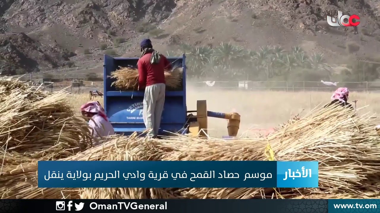 #أخبار الحادية عشرة صباحا | الأحد 12 أبريل 2020م