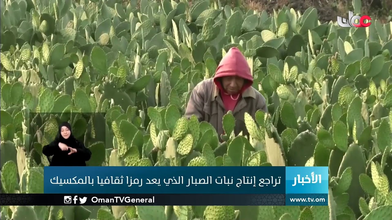 #أخبار_الخامسة | الإثنين 27 أبريل 2020م