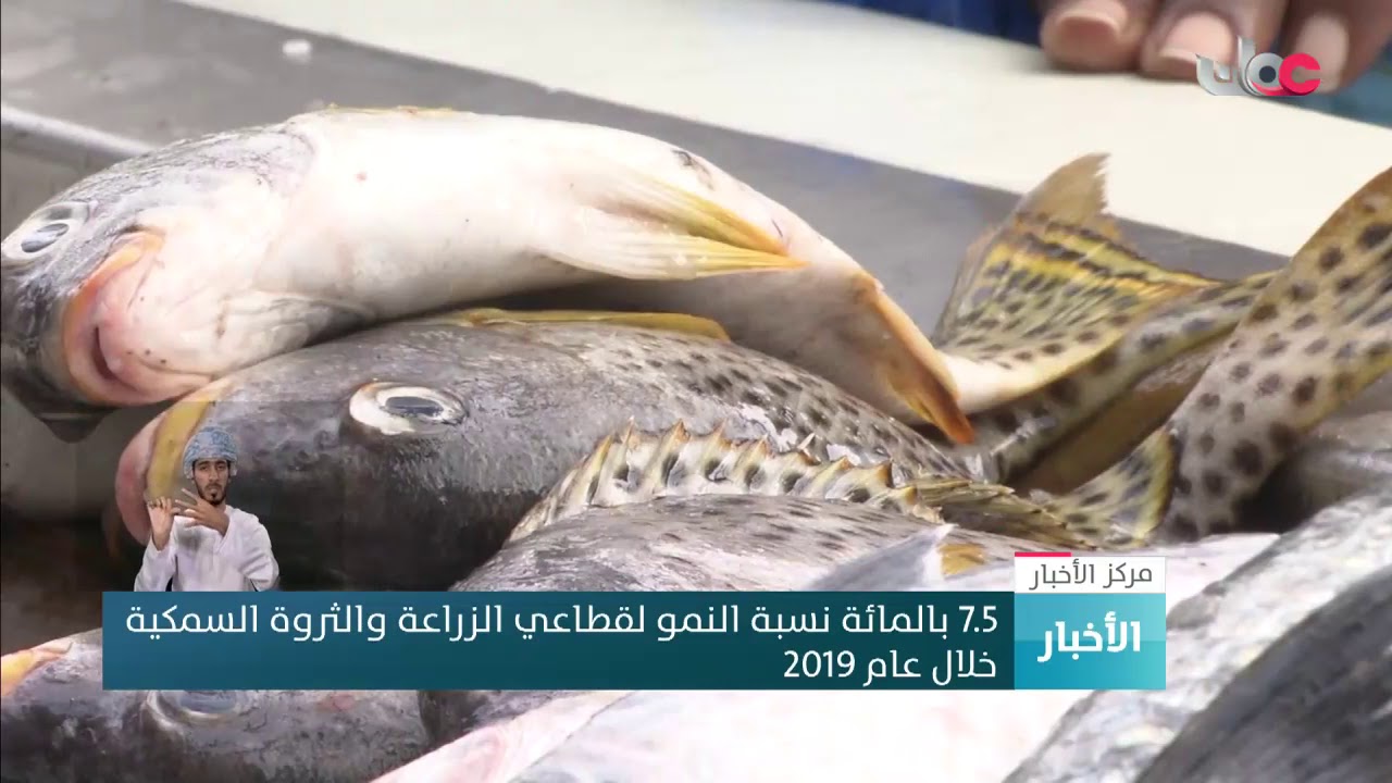 7.5 % نسبة النمو لقطاعي الزراعة والثروة السمكية خلال عام 2019م
