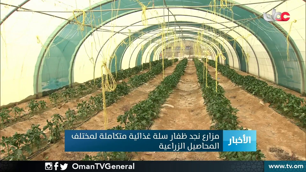#أخبار الحادية عشرة صباحا | الثلاثاء 7 أبريل 2020م