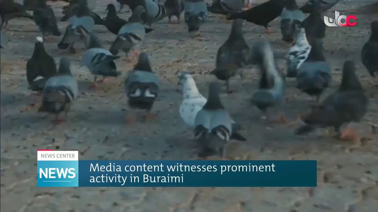 Live broadcast | English News Bulletin