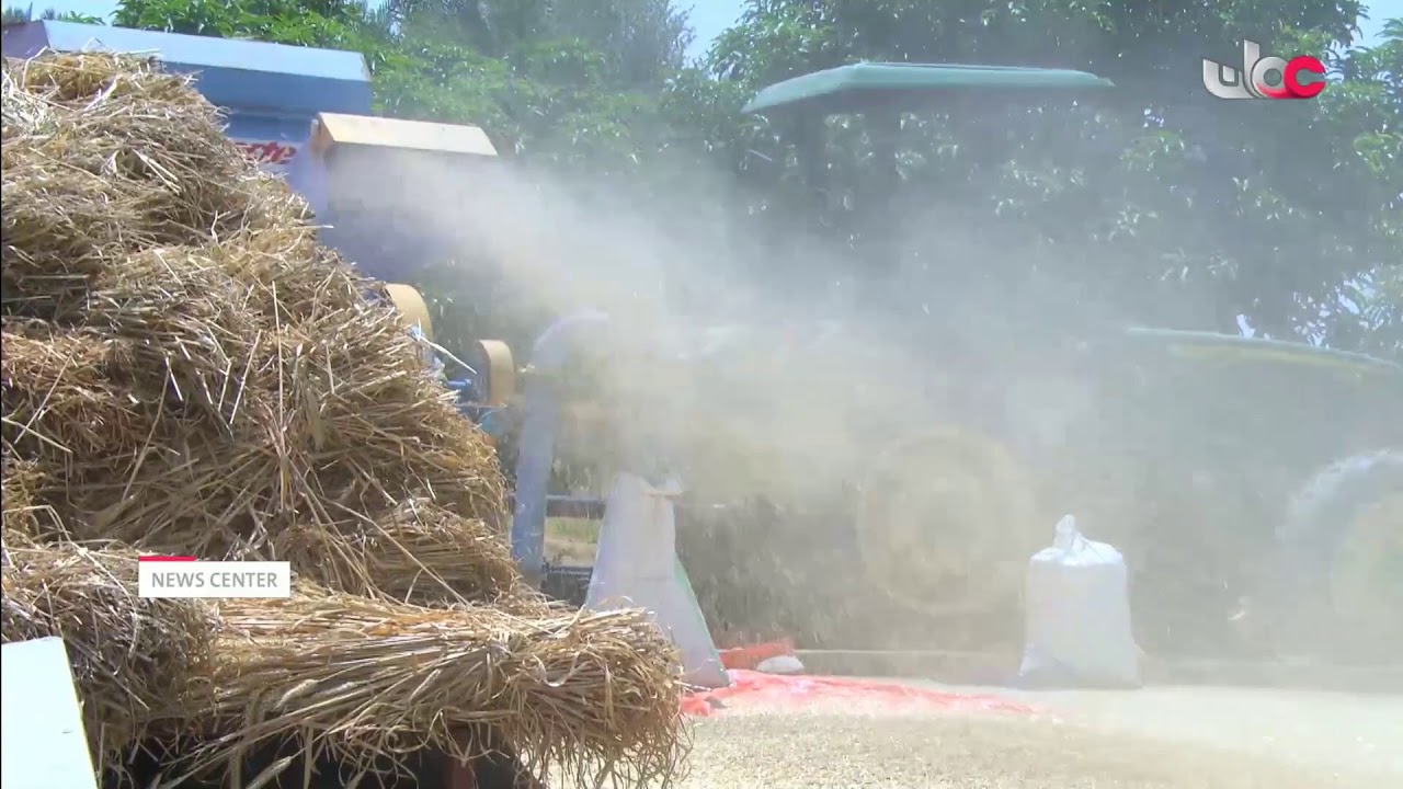 Live broadcast | English News Bulletin