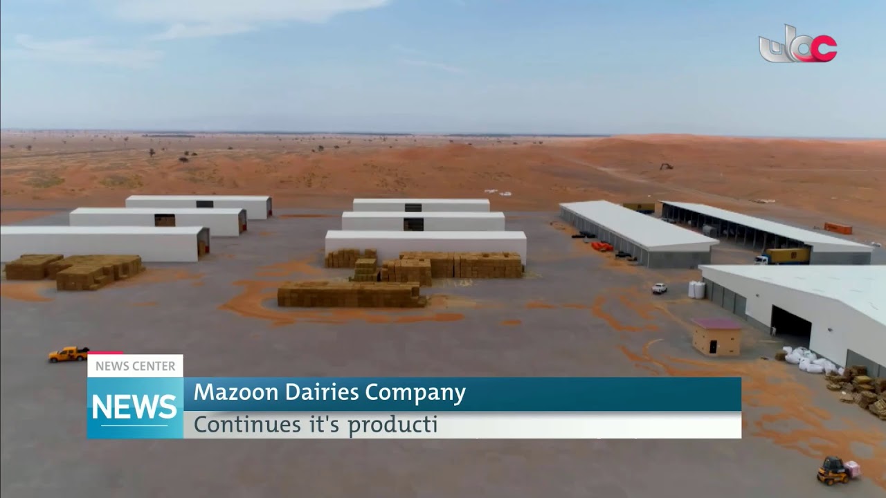 Live broadcast | English News Bulletin