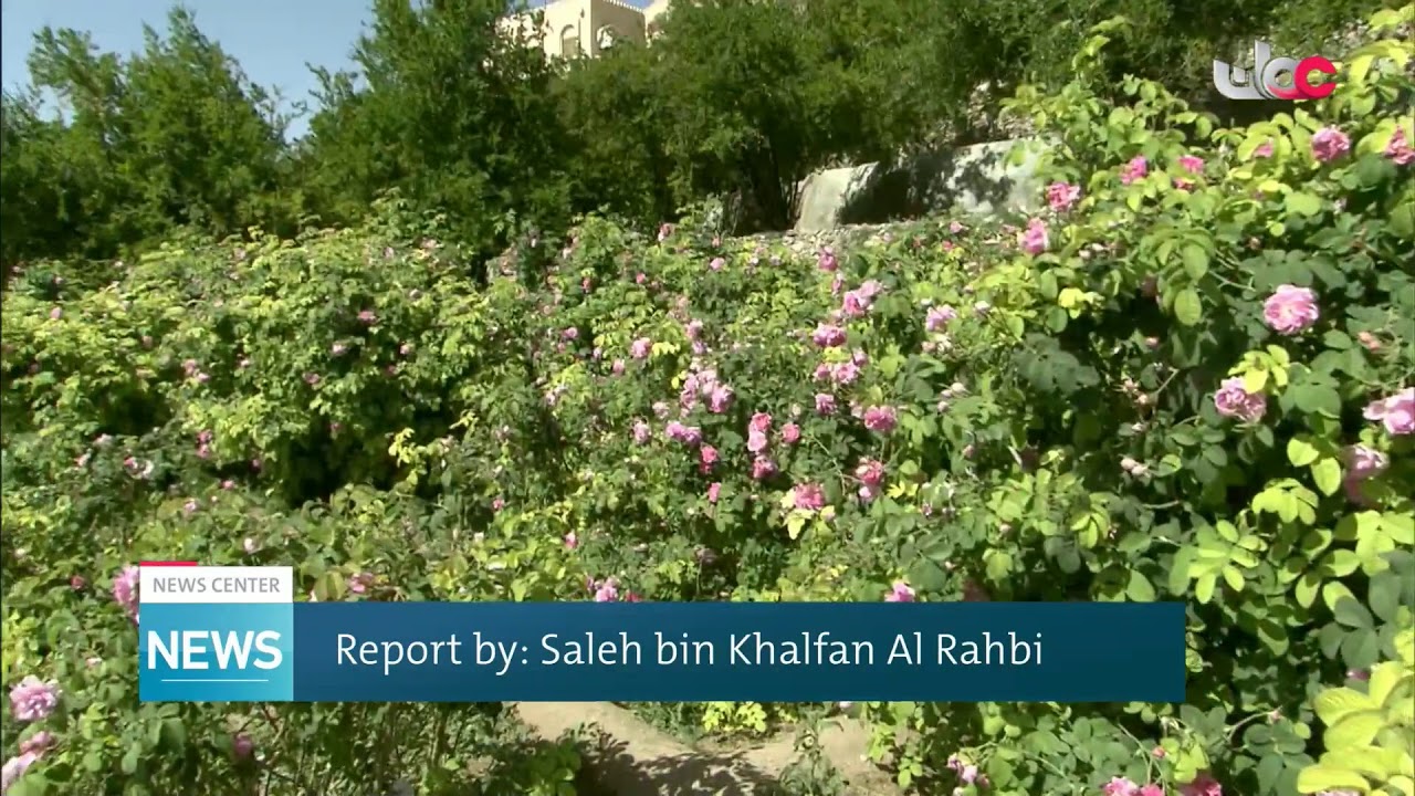 Live broadcast | English News Bulletin