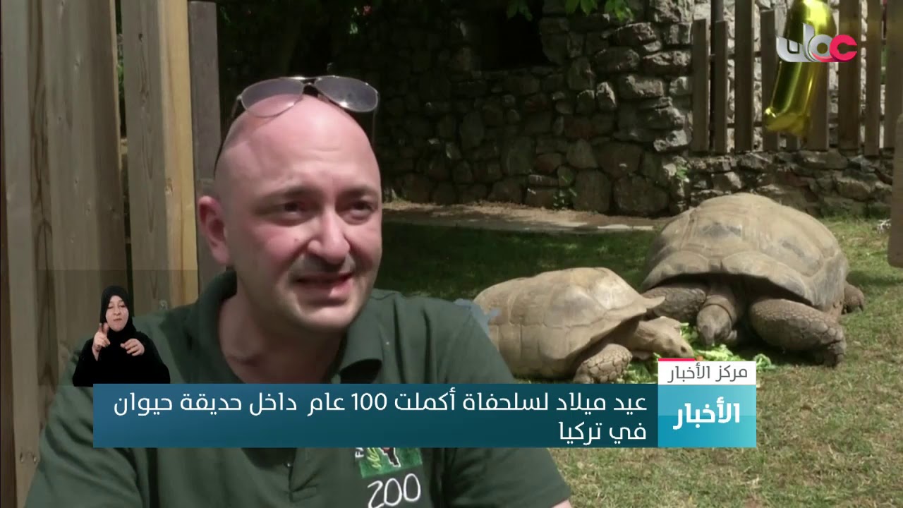 عيد ميلاد لسلحفاة أكملت 100 عام داخل حديقة حيوان في تركيا